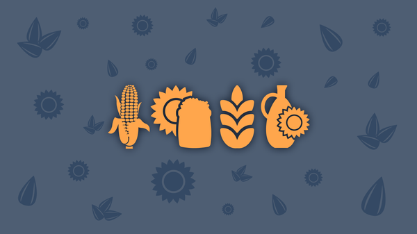 Grain deal infographic cover - Sputnik International