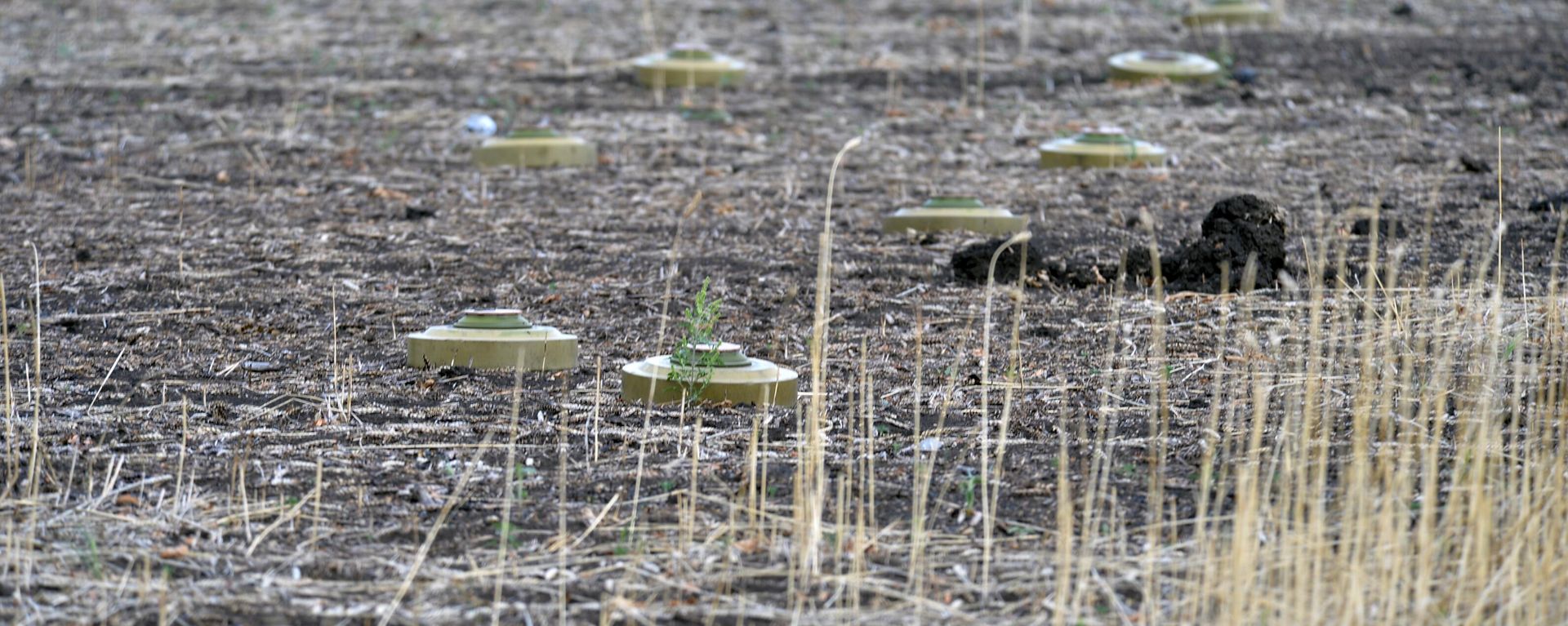 Anti-tank mines TM-62M are seen on a field located near Artemovsk. File photo - Sputnik International, 1920, 20.07.2023