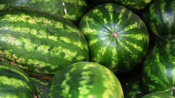 Watermelon - Sputnik International