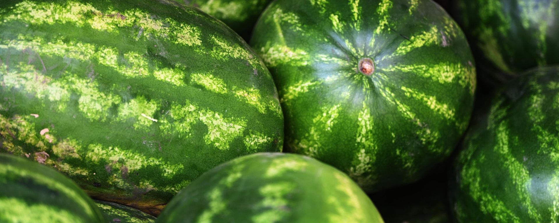 Watermelon - Sputnik International, 1920, 31.07.2023