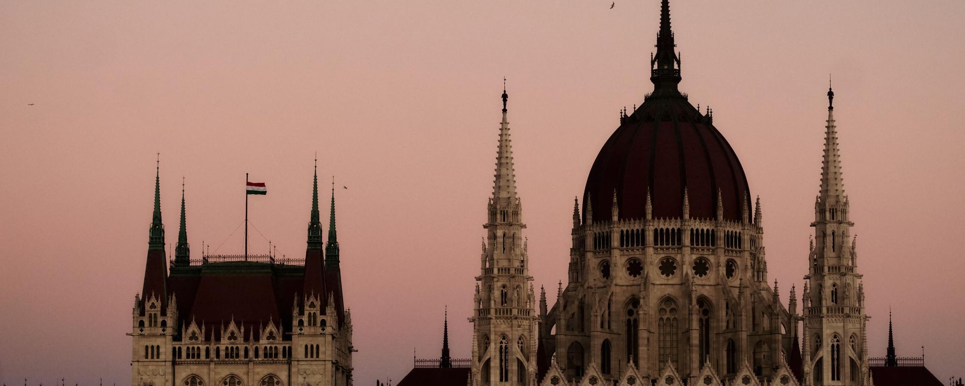 Birds fly over the Hungarian Parliament Building in Budapest, Hungary Birds fly over the Hungarian Parliament Building in Budapest, Hungary - Sputnik International, 1920, 22.01.2024