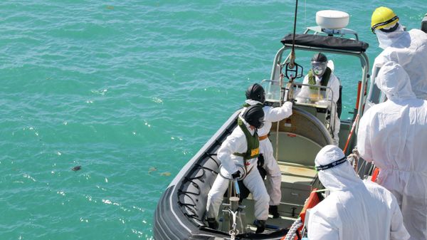 In this photo provided by the Australian Defence Force, sailors from HMAS Brisbane prepare to board a rigid-Hulled inflatable boat to conduct search and rescue operations in the vicinity of Lindeman Island, Australia on Saturday, July 29, 2023. - Sputnik International