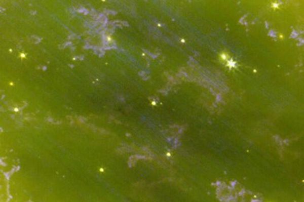 The close-up of the central parts of the image. The brightest star here is the dying, extremely hot central star. - Sputnik International
