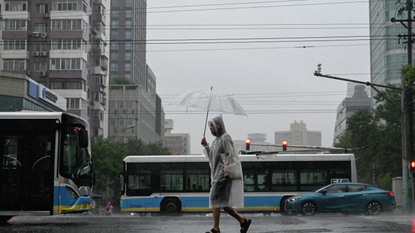 A man shelters from the rain with an umbrella in Beijing on July 31, 2023. (Photo by Pedro PARDO / AFP) - Sputnik International