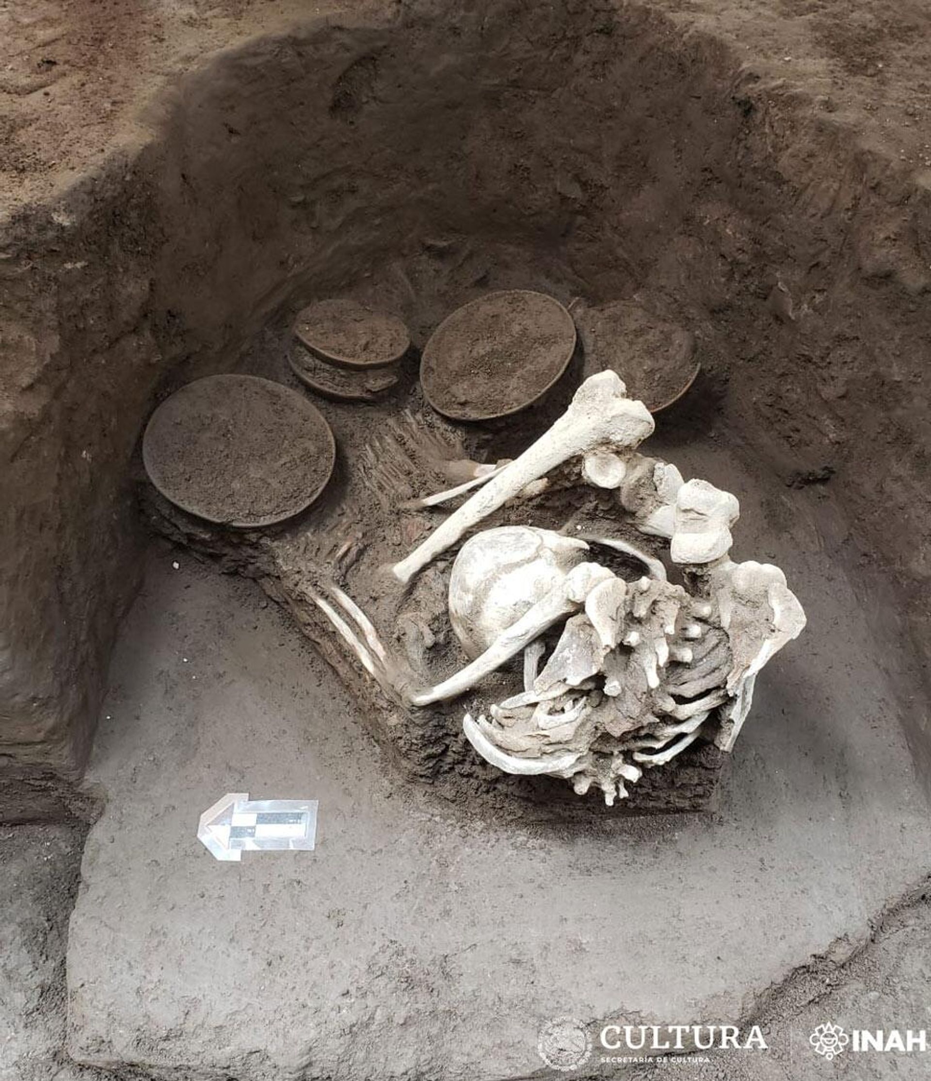 Burial of an adult Teotihuacan individual uncovered by Mexico’s Ministry of Culture and a research team from the Directorate of Archaeological Salvage of the National Institute of Anthropology and History Burial of an adult Teotihuacan individual uncovered by Mexico’s Ministry of Culture and a research team from the Directorate of Archaeological Salvage of the National Institute of Anthropology and History - Sputnik International, 1920, 08.08.2023