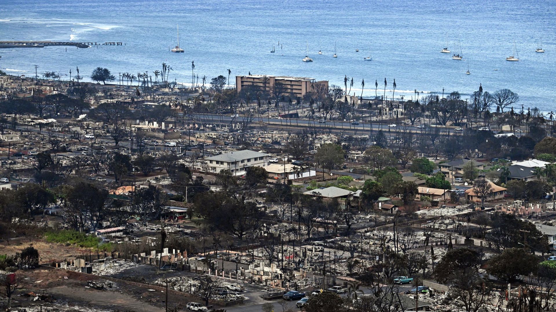 An aerial image taken on August 10, 2023 shows destroyed homes and buildings burned to the ground in Lahaina in the aftermath of wildfires in western Maui, Hawaii. An aerial image taken on August 10, 2023 shows destroyed homes and buildings burned to the ground in Lahaina in the aftermath of wildfires in western Maui, Hawaii. - Sputnik International, 1920, 11.08.2023