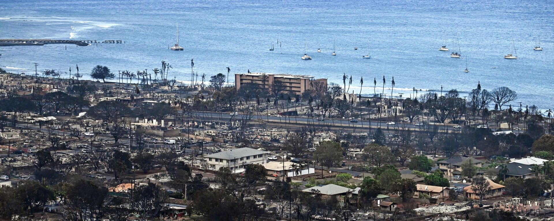 An aerial image taken on August 10, 2023 shows destroyed homes and buildings burned to the ground in Lahaina in the aftermath of wildfires in western Maui, Hawaii. An aerial image taken on August 10, 2023 shows destroyed homes and buildings burned to the ground in Lahaina in the aftermath of wildfires in western Maui, Hawaii. - Sputnik International, 1920, 11.08.2023