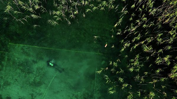 This photograph taken on July 27, 2023, shows a diver searching for archaeological material in Lake Ohrid, southeastern Albania. - Sputnik International