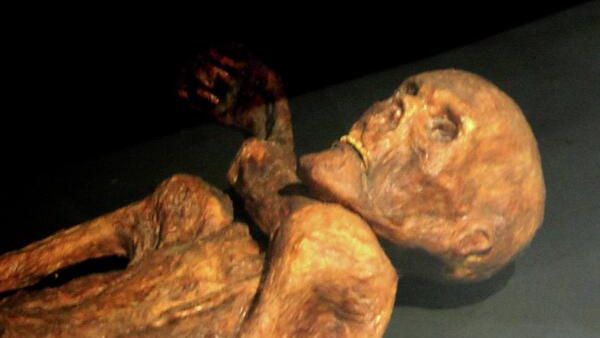 The reconstruction of Ötzi mummy as shown in Prehistory Museum of Quinson, Alpes-de-Haute-Provence, France. - Sputnik International