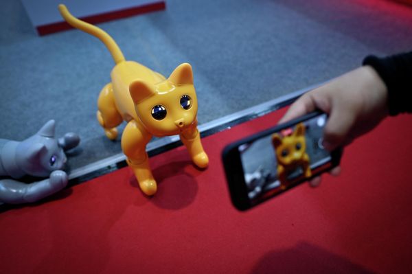 A man uses a mobile phone to take a picture of a robot kitten.  - Sputnik International