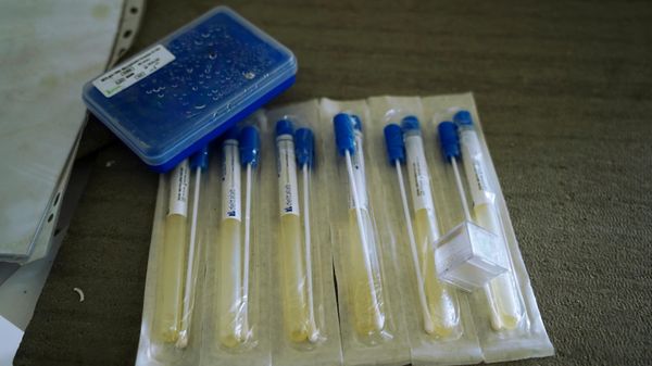 Laboratory in Rubezhnoye, Lugansk People's Republic, Where Drug Analgesics for NATO Forces Were Tested - Sputnik International