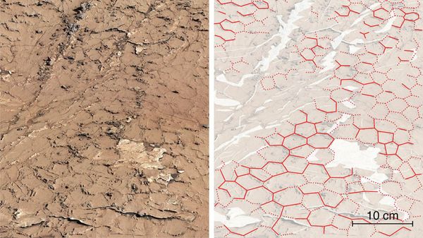 Close-up of polygon-shaped cracks on the Martian surface, which are believed to be formed as a result of wet and dry cycles on Mars more than 3 billion years ago. - Sputnik International