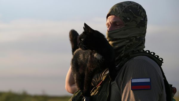 Stress relief for a Russian soldier in special operation zone - Sputnik International