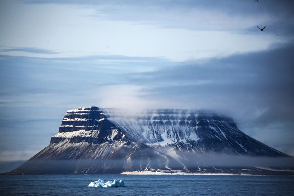 One of the islands in the Franz Josef Land archipelago. - Sputnik International