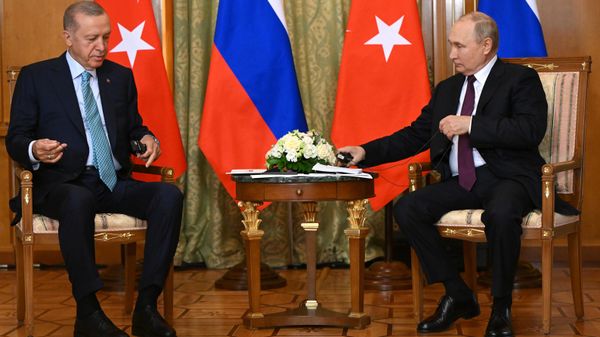 Turkish President Recep Tayyip Erdogan and Russian President Vladimir Putin in Sochi. - Sputnik International