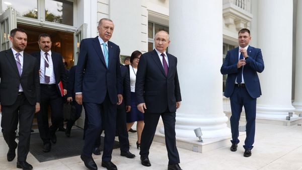 Russian President Vladimir Putin held talks with Turkish President Recep Tayyip Erdogan - Sputnik International