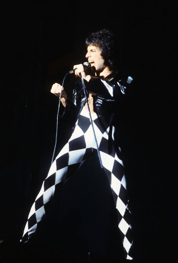 During his school years, Mercury started his first-ever rock band, The Hectics, which existed for 4 years. Surprisingly, Freddie was the group's pianist. - Sputnik International