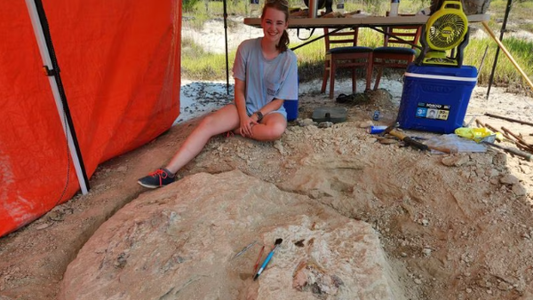 Alabama HS student discovers fossil whale - Sputnik International