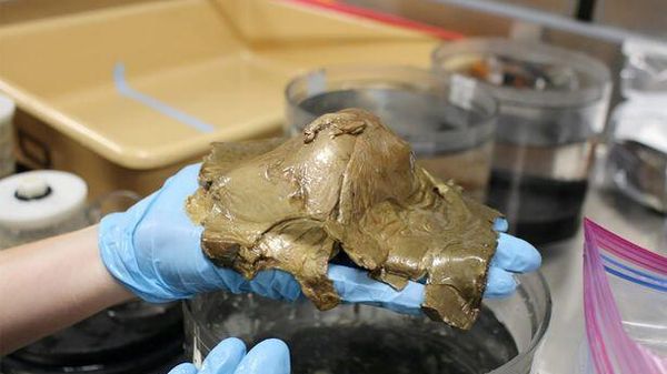 The photo of the sphere losing its shape, taken in the lab. - Sputnik International
