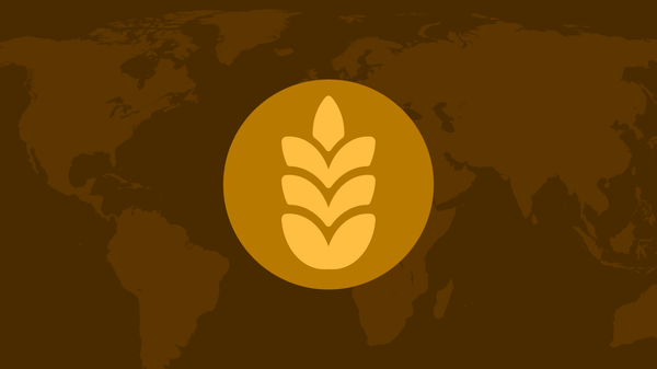 Russian grain increased export infographic cover - Sputnik International
