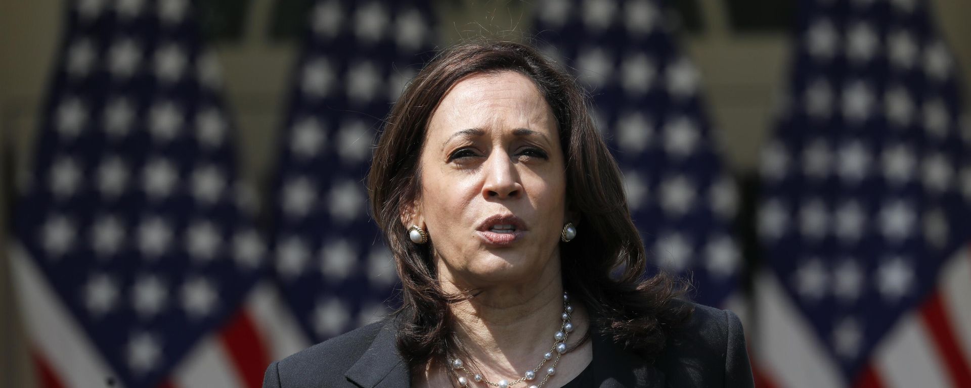 Vice President Kamala Harris  - Sputnik International, 1920, 05.07.2024