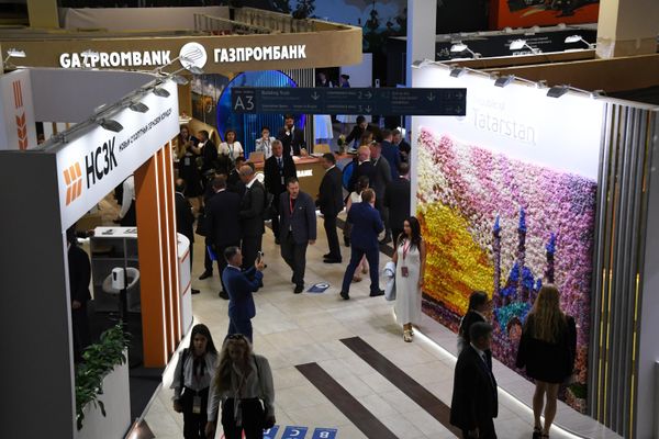 Guests of the EEF explore beautiful stands of the expo, often stunned in awe due to the magnificence of the picturesque diversity. - Sputnik International