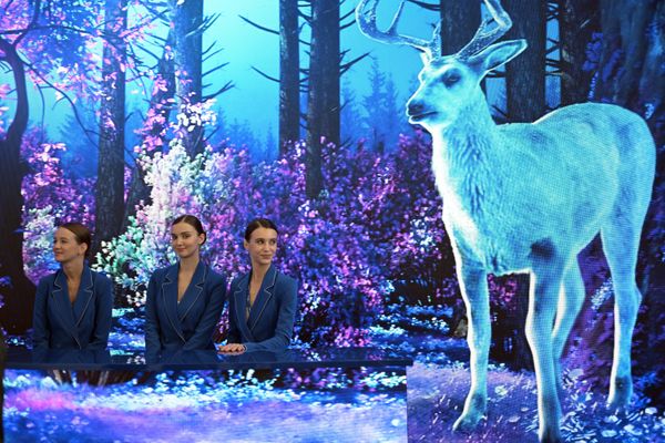 Participants of the EEF near a hologram of a deer. - Sputnik International