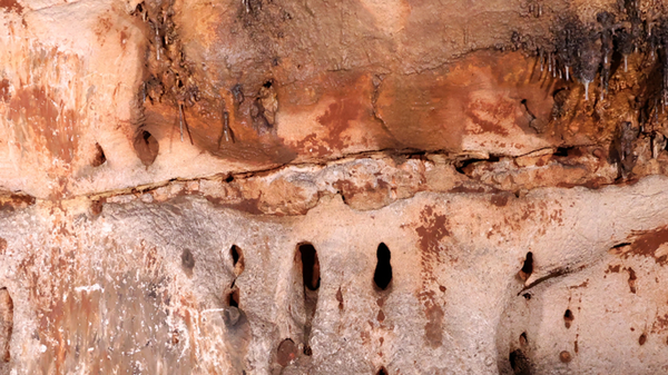 A photo which depicts parts of the carvings. - Sputnik International