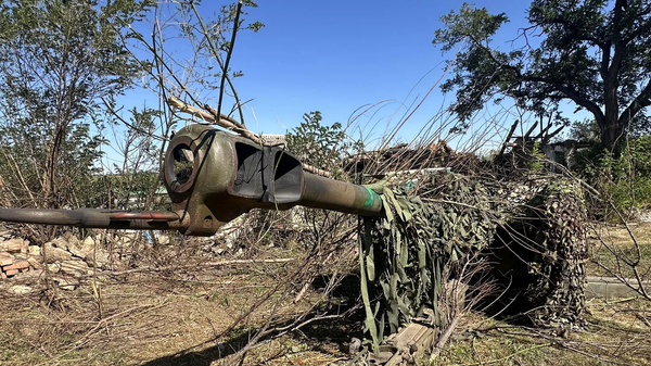 A howitzer camouflaged as firewood by the artillerymen of the St. George Volunteer Reconnaissance and Assault Brigade - Sputnik International