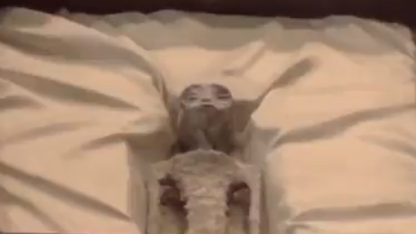 What Ufologist Jaime Maussan described as an alien corpse being presented in the Mexican Congress during a September 13, 2023, hearing. - Sputnik International