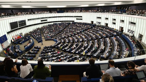 Members of the European Parliament take part in a voting session on EU nature restoration law during a plenary session at the European Parliament in Strasbourg, eastern France, on July 12, 2023. - Sputnik International