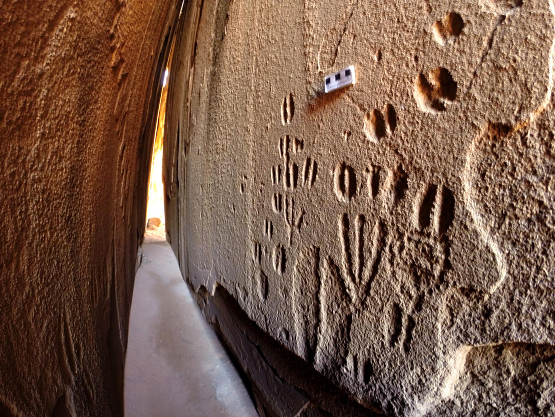 Extremely accurate carvings of animal tracks on a rock face in the Doro! Nawas Mountains of central-western Namibia, dated to 1st millennium BCE Extremely accurate carvings of animal tracks on a rock face in the Doro! Nawas Mountains of central-western Namibia, dated to 1st millennium BCE - Sputnik International, 1920, 14.09.2023