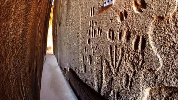 Extremely accurate carvings of animal tracks on a rock face in the Doro! Nawas Mountains of central-western Namibia, dated to 1st millennium BCE - Sputnik International