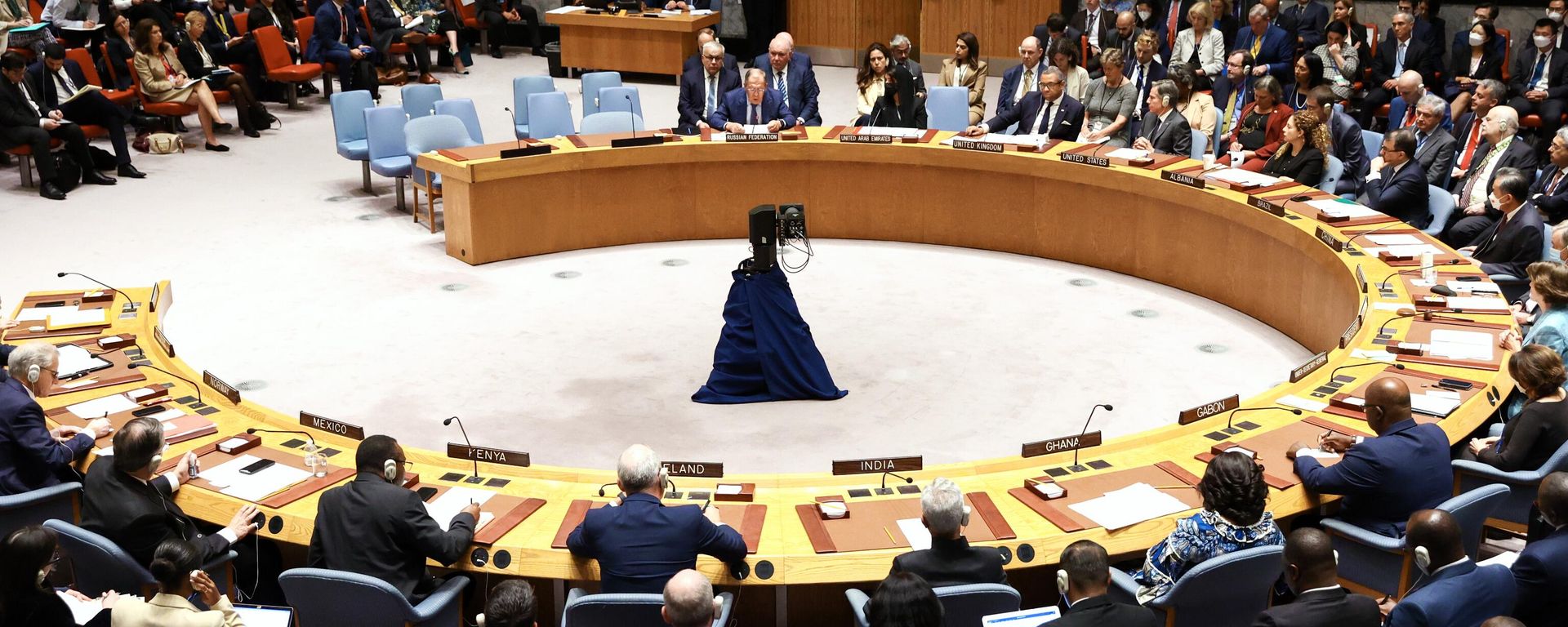 UN Security Council meeting UN Security Council meeting - Sputnik International, 1920, 21.12.2023