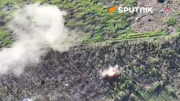 Russian artillery in action - Sputnik International