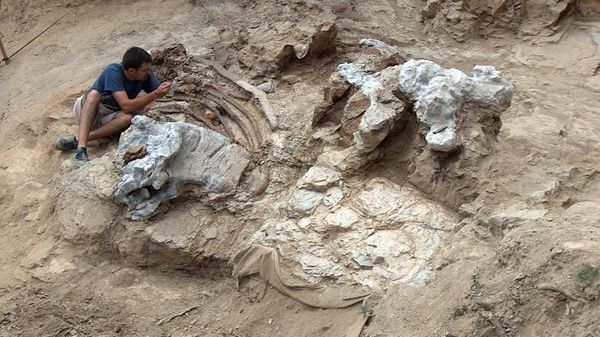 General view of the Sant Antoni de la Vespa deposit during the extraction of one of the Garumbatitan specimens. - Sputnik International