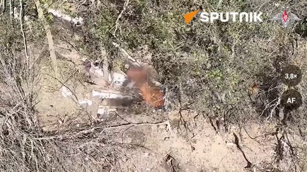 Russian Paratroopers Wipe out Ukrainian Positions - Sputnik International