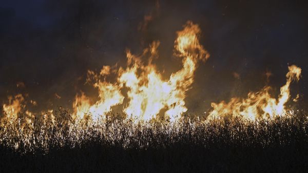 Wildfires rage through wetlands in islands in the Parana Delta near Victoria, in the Argentine province of Entre Rios, in front of the city of Rosario, in Santa Fe Province, on August 16, 2022. People in Rosario, across the river, who are being affected by the smoke, have been demonstrating against the burning of fields for the clearing of land. - Sputnik International