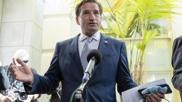 Rep. Dean Phillips, D-Minn - Sputnik International