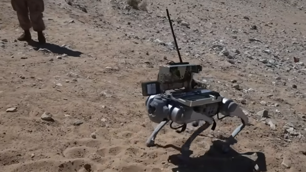 US Marines test fire M72 LAW attached to a Chinese-made robotic dog design. - Sputnik International