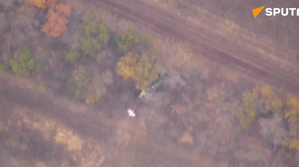Russian forces destroy Ukrainian DANA self-propelled howitzer - Sputnik International