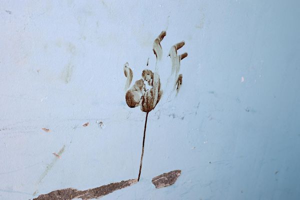 An eerie image from a media tour organized by the Israeli authorities: a house in the Nir Oz kibbutz marked by a bloodstained handprint. Tragically, in the ongoing violence since October 7, 2023, thousands of lives have been lost, encompassing both Palestinians and Israelis.  - Sputnik International