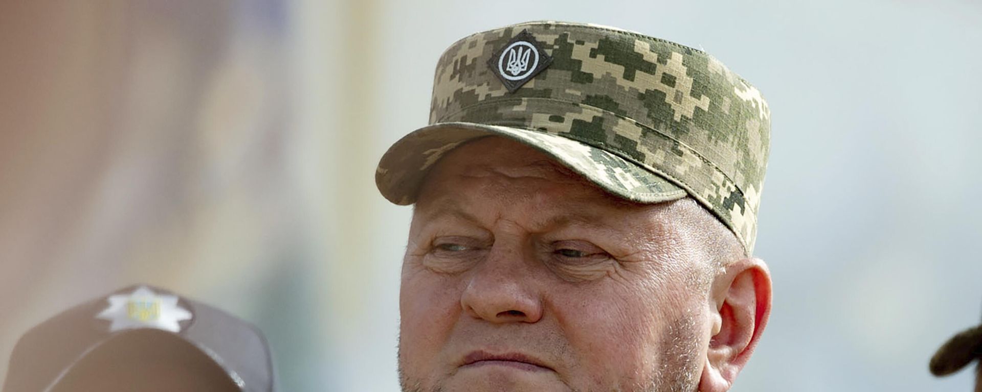 Commander-in-Chief of Ukraine's Armed Forces Valeriy Zaluzhny. File photo - Sputnik International, 1920, 07.11.2023