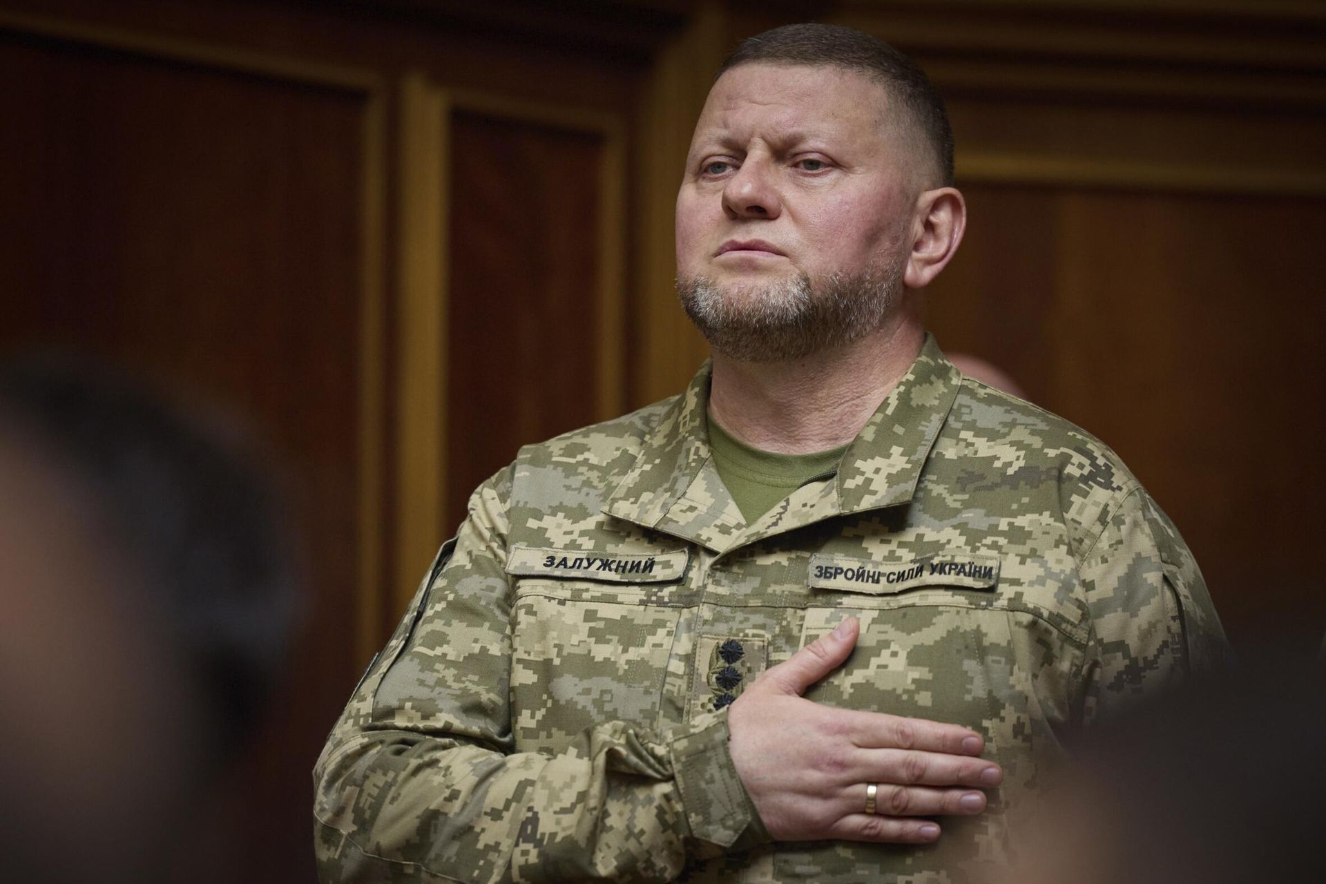 Commander-in-Chief of Ukraine's Armed Forces Valery Zaluzhny. File photo - Sputnik International, 1920, 27.11.2023