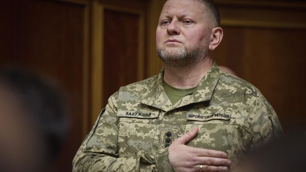 Commander-in-Chief of Ukraine's Armed Forces Valery Zaluzhny. File photo - Sputnik International