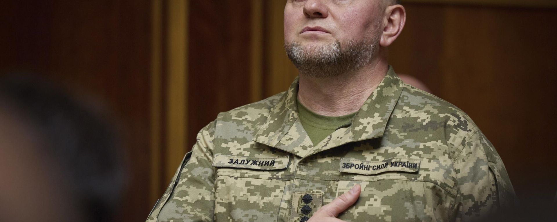 Commander-in-Chief of Ukraine's Armed Forces Valery Zaluzhny. File photo - Sputnik International, 1920, 02.11.2023