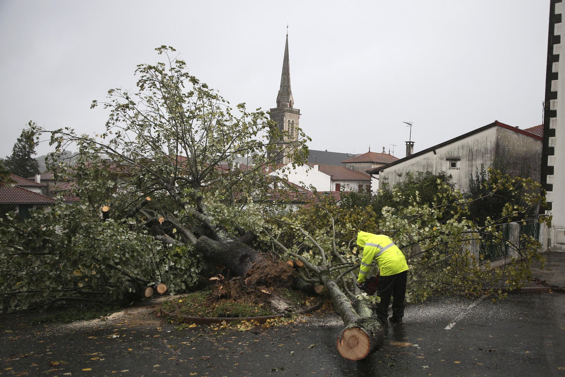 A man saws a tree that fell on a parking lot Thursday, Nov. 2, 2023 in Hasparren, southwestern France. Winds up to 180 kilometers per hour (108 mph) slammed the French Atlantic coast overnight along with violent rains and huge waves, as Storm Ciaran uprooted trees, blew out windows and left 1.2 million households without electricity. A man saws a tree that fell on a parking lot Thursday, Nov. 2, 2023 in Hasparren, southwestern France. Winds up to 180 kilometers per hour (108 mph) slammed the French Atlantic coast overnight along with violent rains and huge waves, as Storm Ciaran uprooted trees, blew out windows and left 1.2 million households without electricity. - Sputnik International, 1920, 02.11.2023