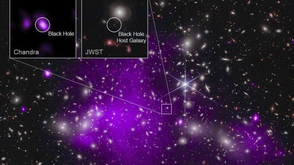This annotated image provided by NASA on Monday, Nov. 6, 2023, shows a composite view of data from NASA’s Chandra X-ray Observatory and James Webb Space Telescope indicating a growing black hole just 470 million years after the big bang. It is the oldest black hole yet discovered.  - Sputnik International