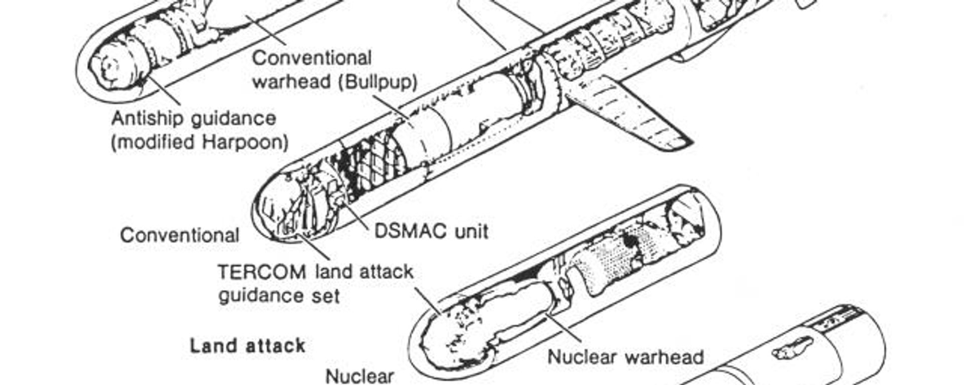 Tomahawk cruise missile variants. - Sputnik International, 1920, 01.11.2025