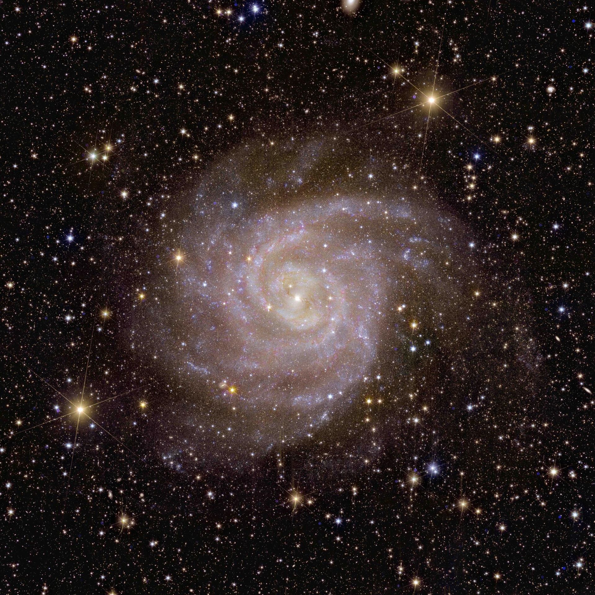Over its lifetime, our dark Universe detective will image billions of galaxies, revealing the hidden influence that dark matter and dark energy have on them.

That’s why it’s fitting that one of the first galaxies that Euclid observed is nicknamed the ‘Hidden Galaxy’. This galaxy, also known as IC 342 or Caldwell 5, is difficult to observe because it lies behind the busy disc of our Milky Way, and so dust, gas and stars obscure our view. - Sputnik International, 1920, 07.11.2023